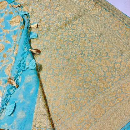 Pure Banarasi Khadi Georgette Saree