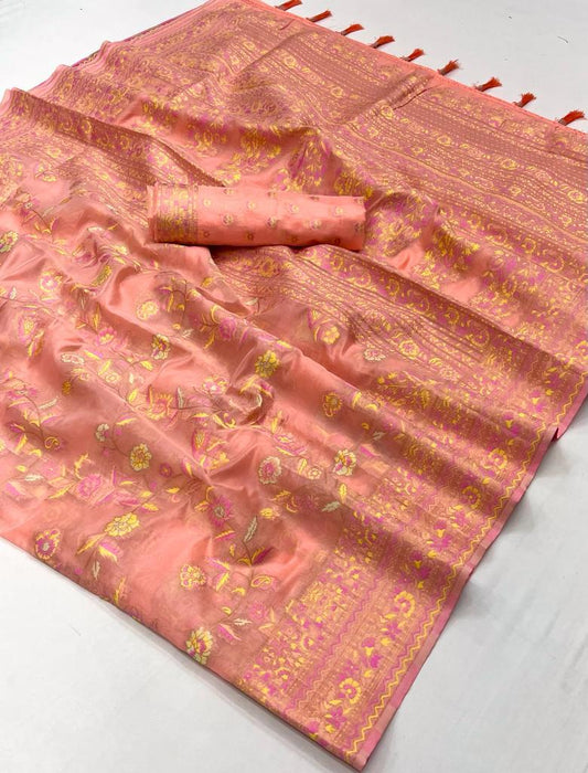 Kashmiri Organza Saree