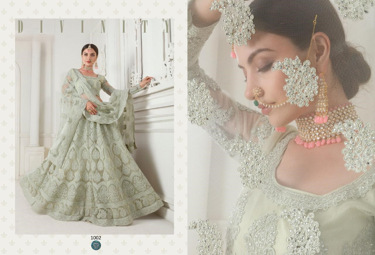 Royal Net Designer Lehenga 